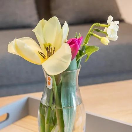 Am Dorfweiher テットナング