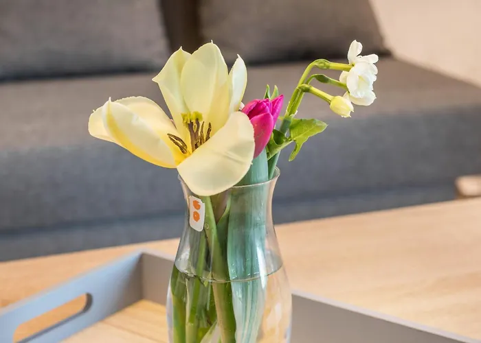 Am Dorfweiher Tettnang